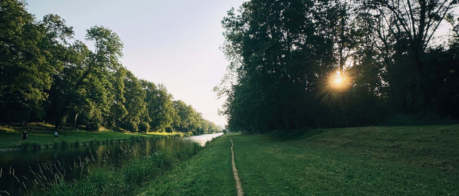 Matthias Maier | Stories | Week 29 2024 | Jogging along Wiese river