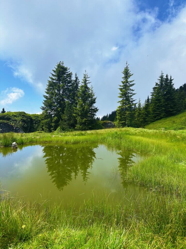 Matthias Maier | Little pond