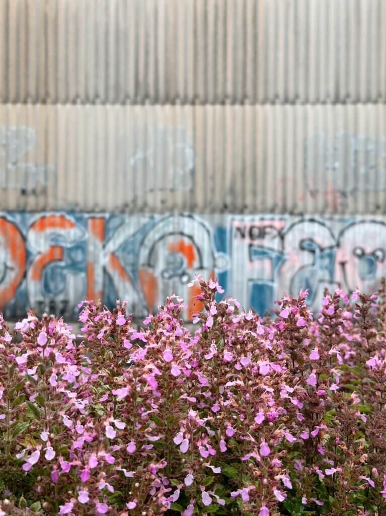 Matthias Maier | Graffiti flora I