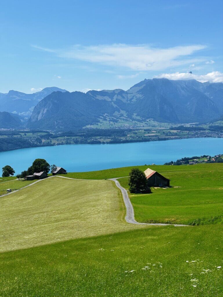 Matthias Maier | Agricultural land