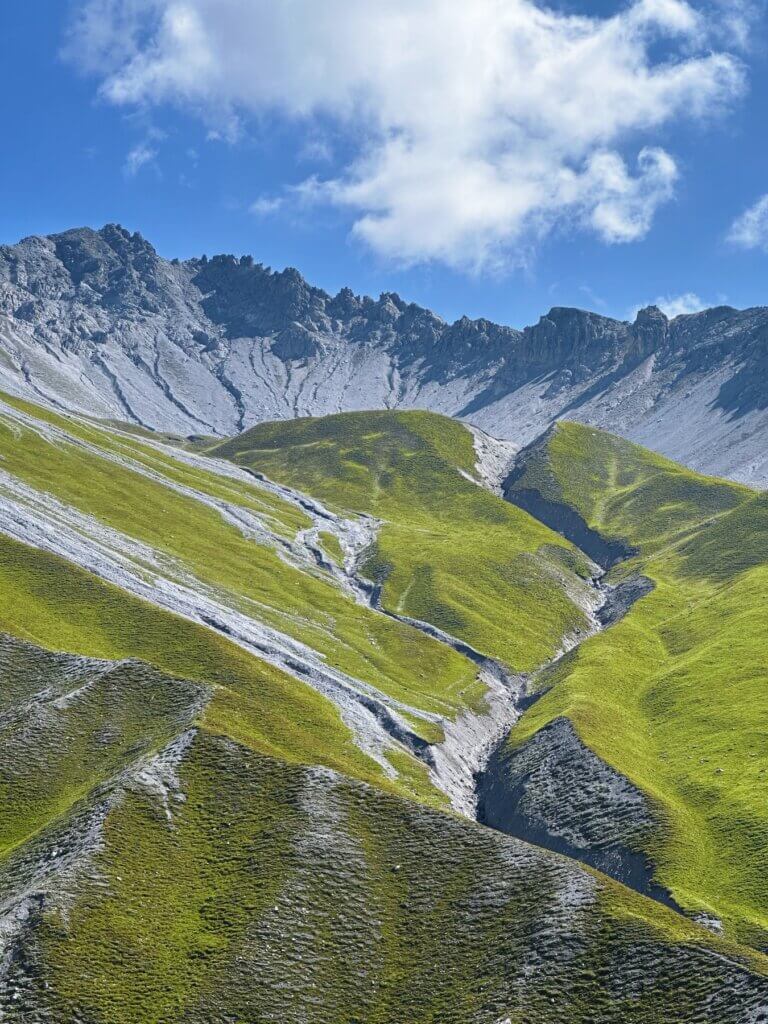 Matthias Maier | Grassland