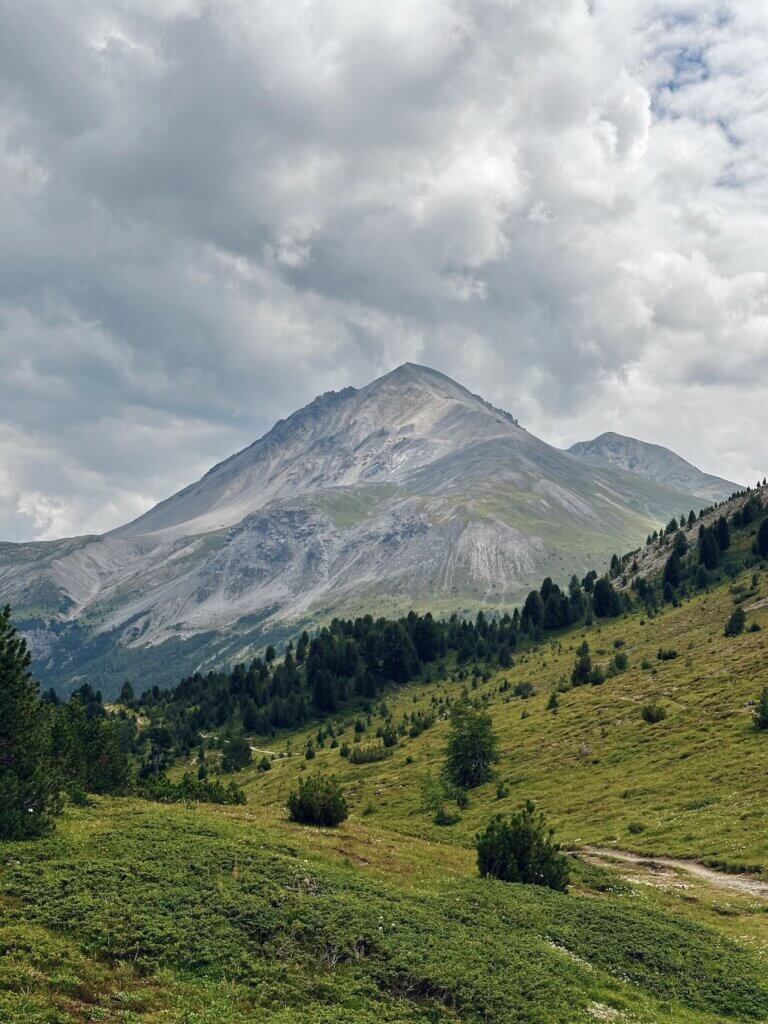 Matthias Maier | Reaching the treeline again