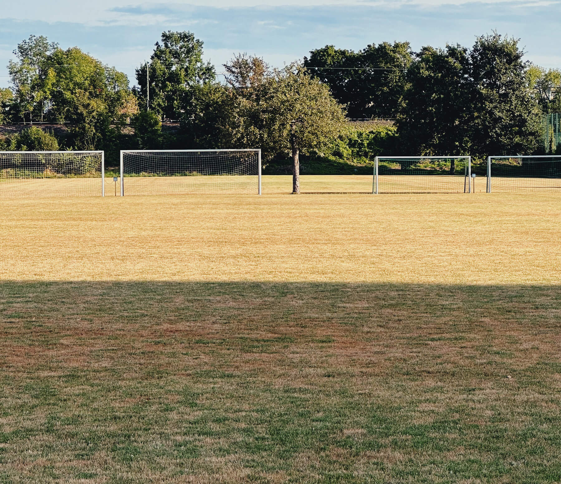 Matthias Maier | Stories | Week 31 2024 | Grass turning brown