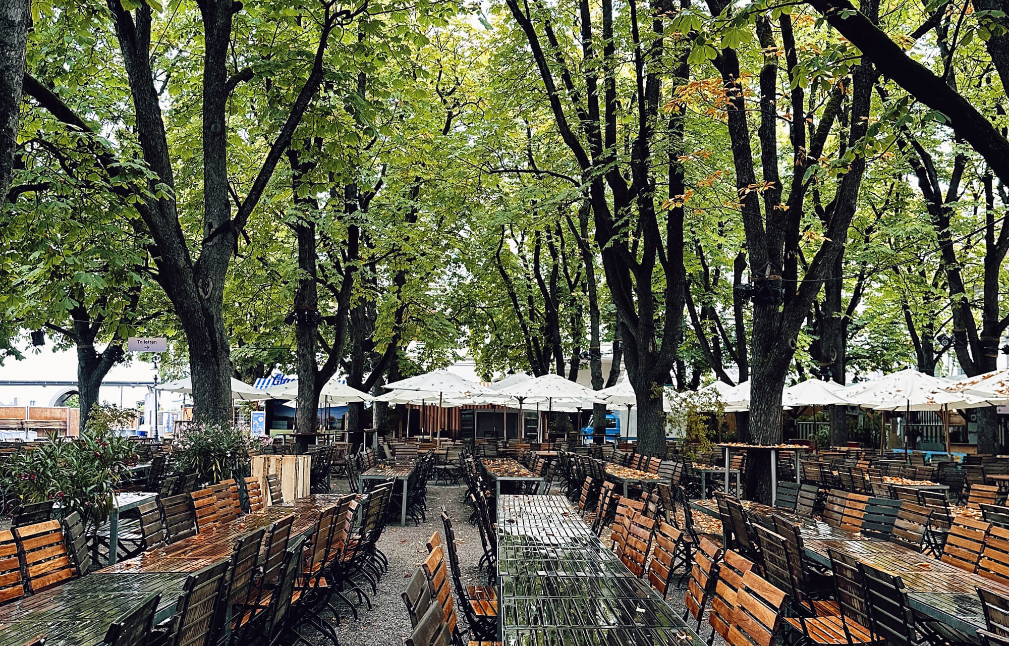 Matthias Maier | Stories | Week 32 2024 | Rainy Münsterplatz