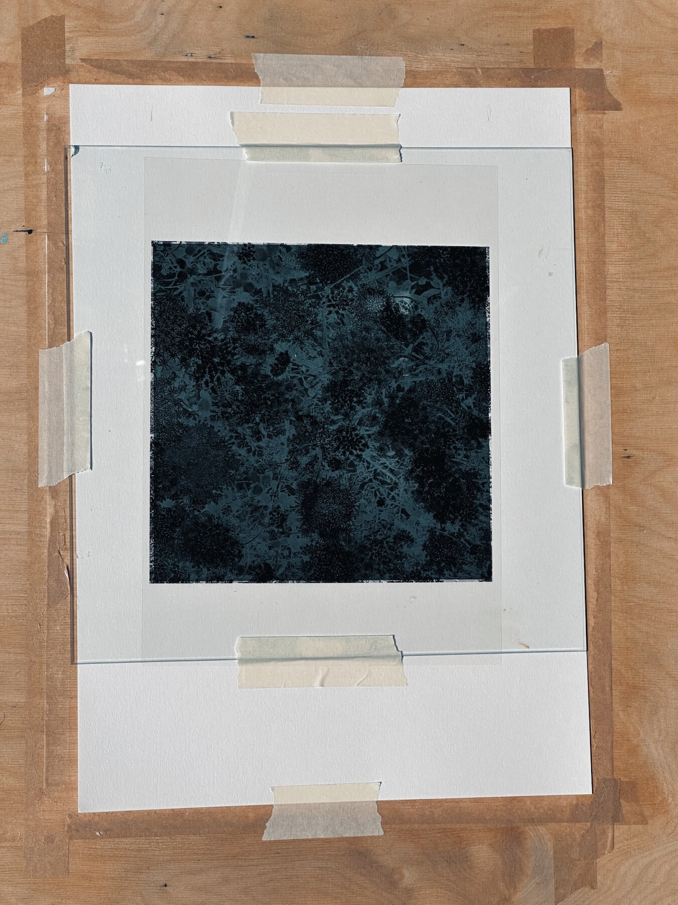 Matthias Maier | Stories | Week 31 2024 | Making cyanotypes