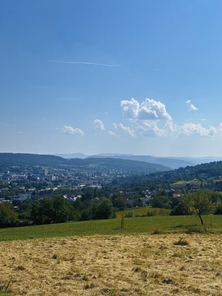 Matthias Maier | View of Lörrach