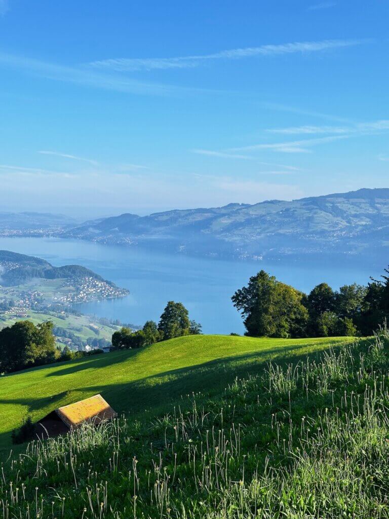 Matthias Maier | View on Lake Thun