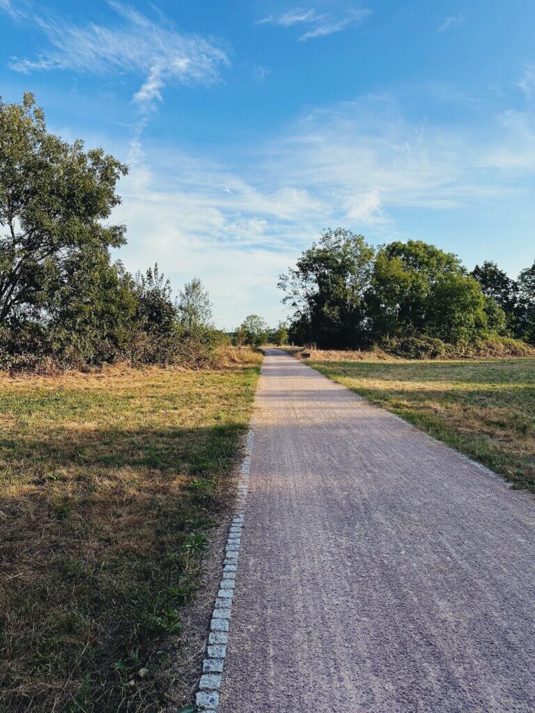 Matthias Maier | Field path into Germany