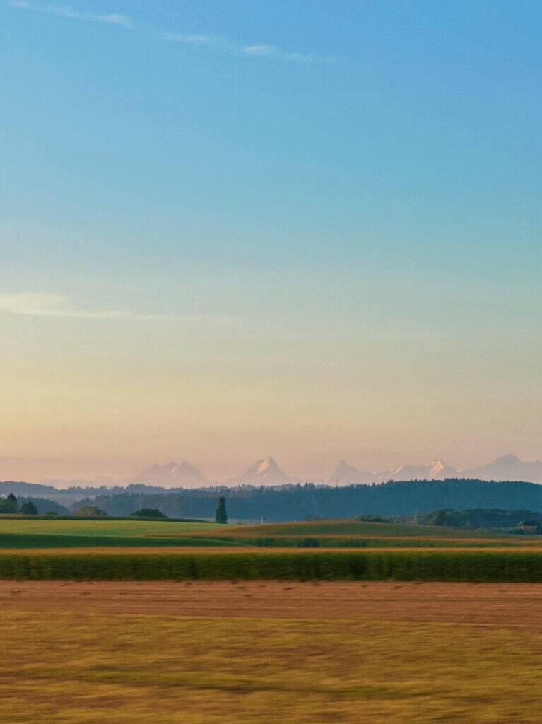 Matthias Maier | Swiss summer colors