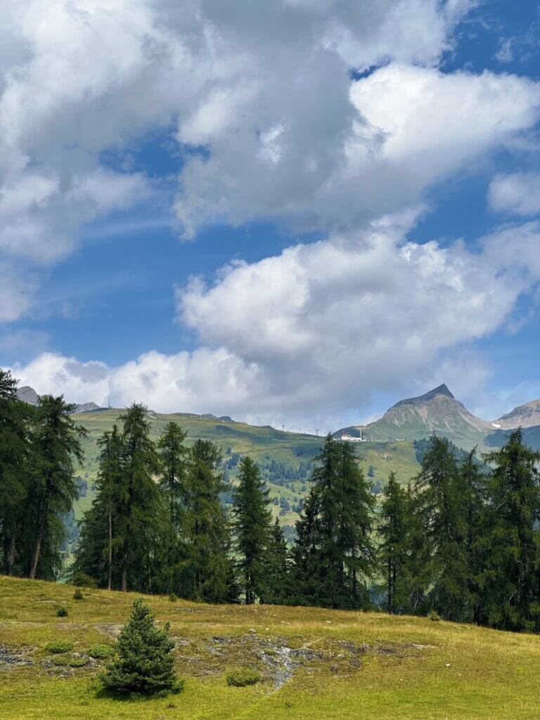 Matthias Maier | Alpine landscape