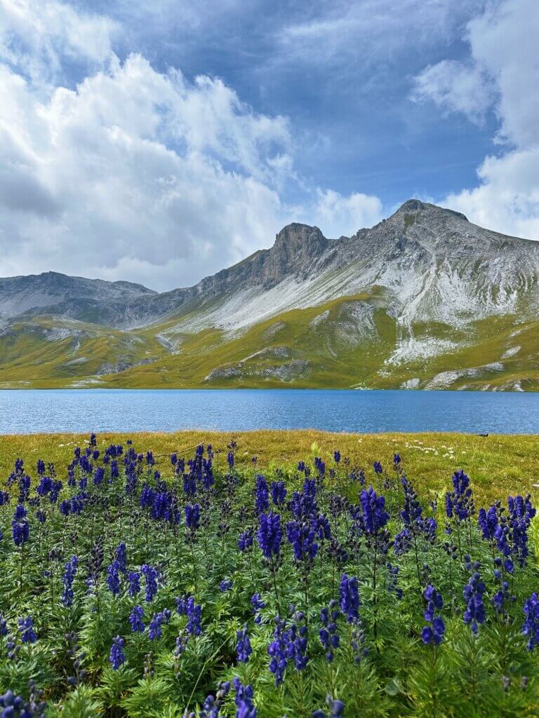 Matthias Maier | Alpine paradise