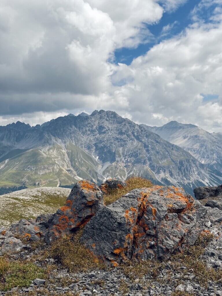 Matthias Maier | Alpine colors