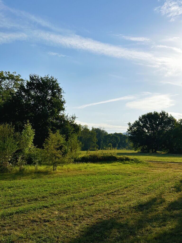 Matthias Maier | Summer landscape