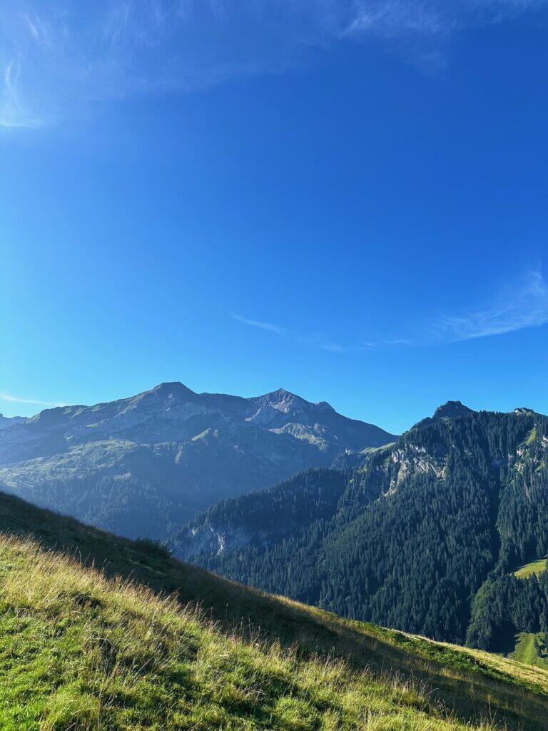 Matthias Maier | Alpine summer