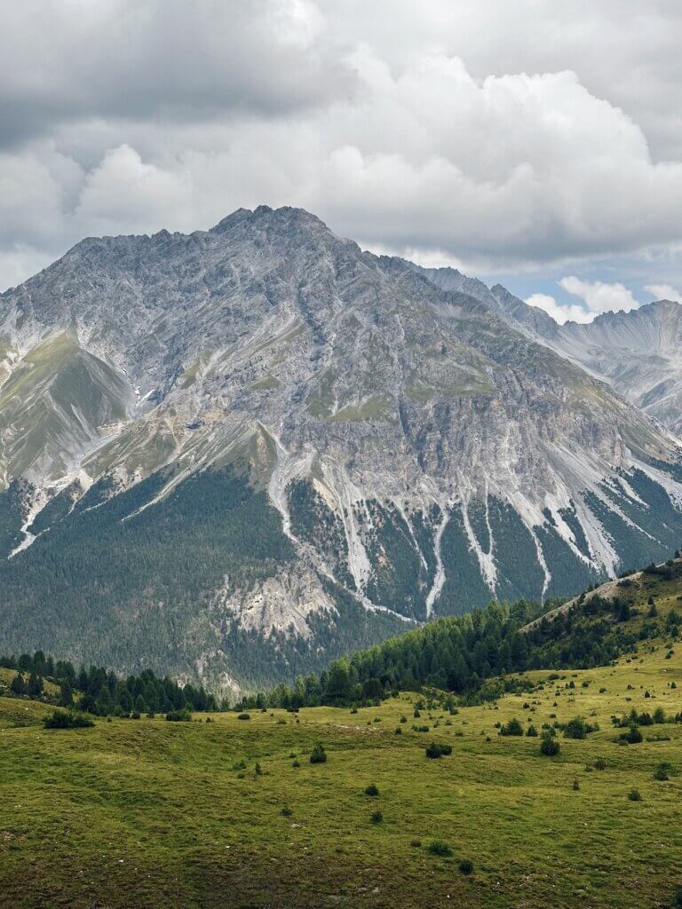 Matthias Maier | Vegetation zones