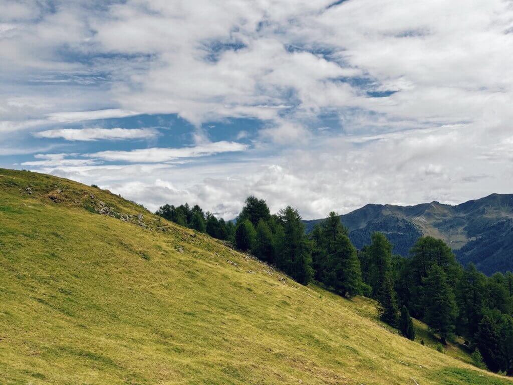 Matthias Maier | Alpine Meadows