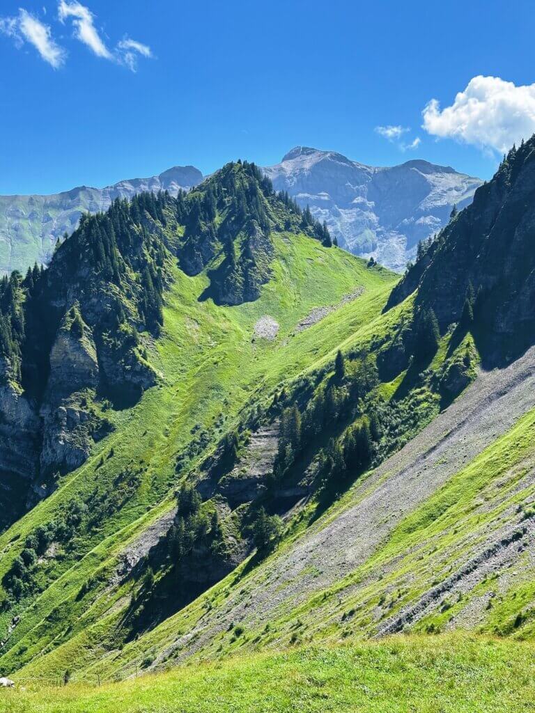 Matthias Maier | Alpine landscape