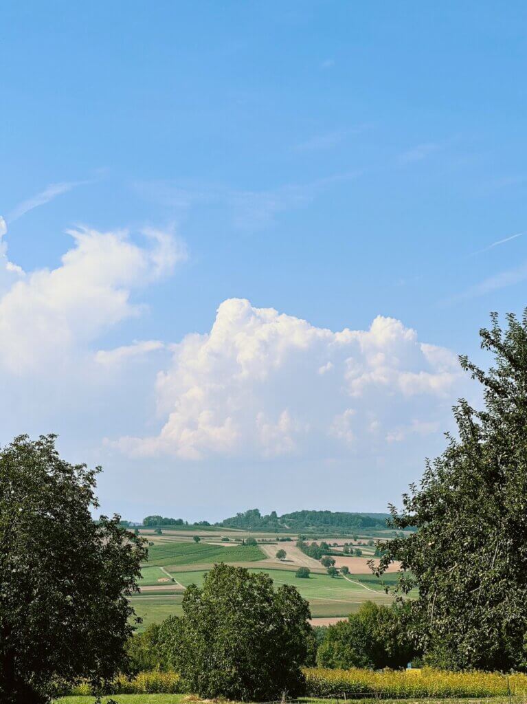 Matthias Maier | Fields