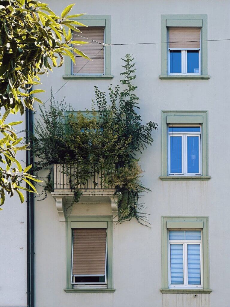 Matthias Maier | Balcony forest