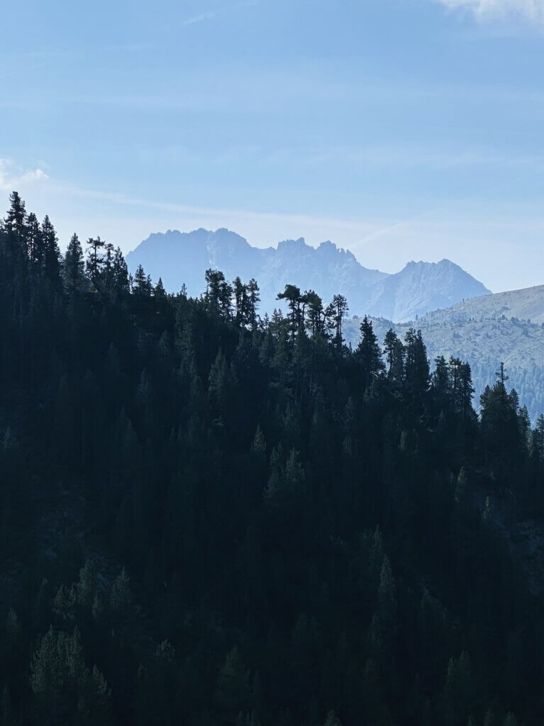 Matthias Maier | Stone pines and peaks