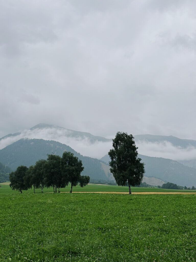 Matthias Maier | Rainy day