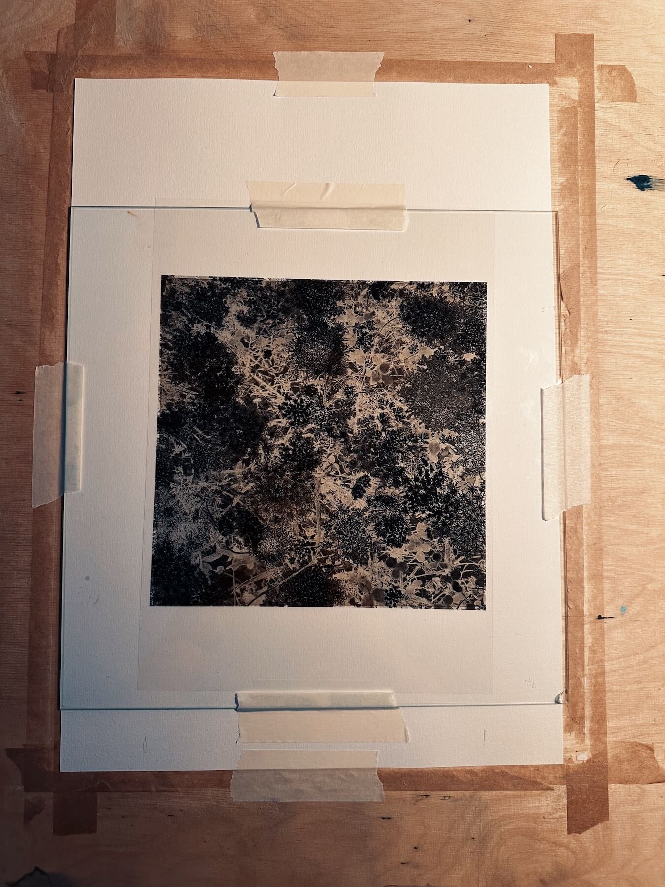 Matthias Maier | Stories | Week 31 2024 | Making cyanotypes