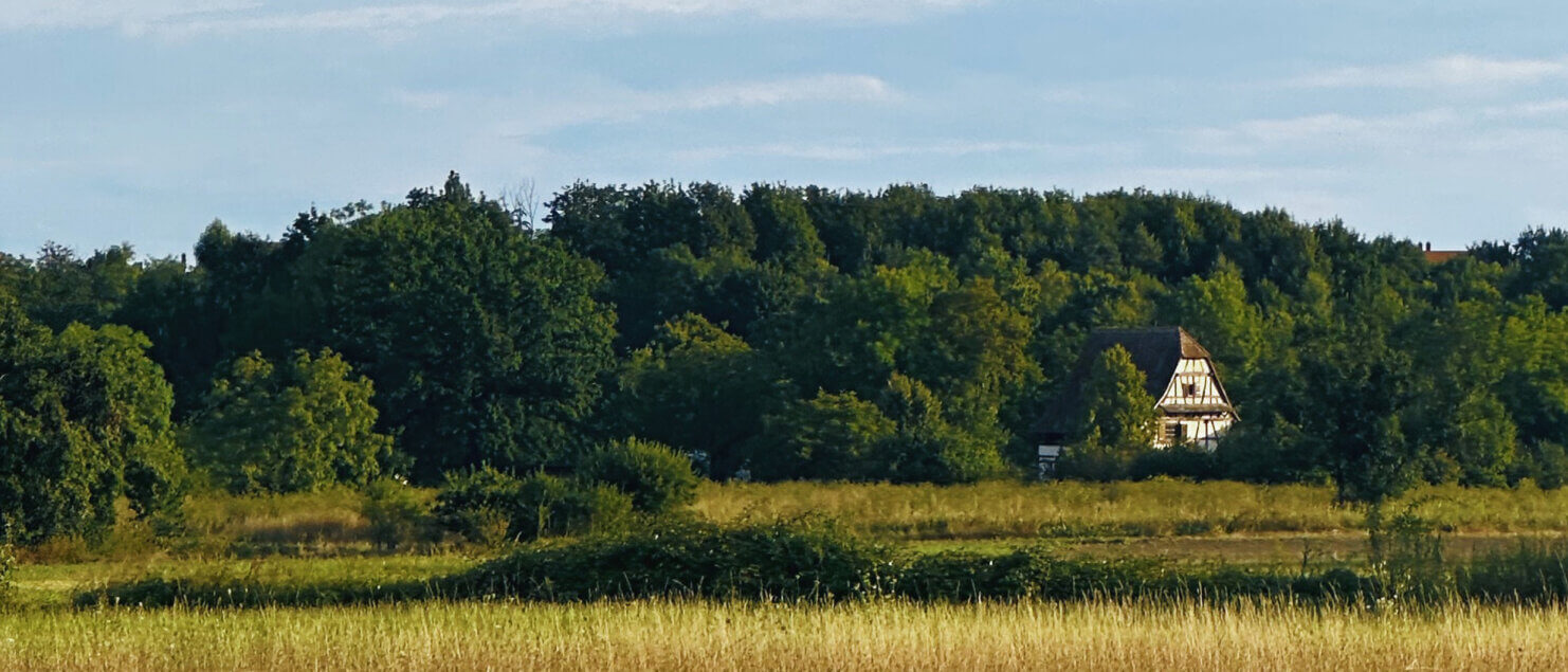 Matthias Maier | Stories | Week 33 2024 | Old house in the fields