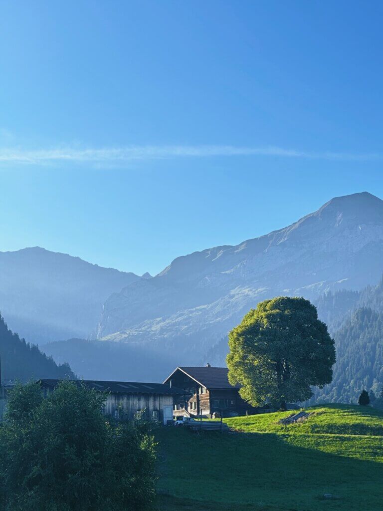 Matthias Maier | Swiss farm