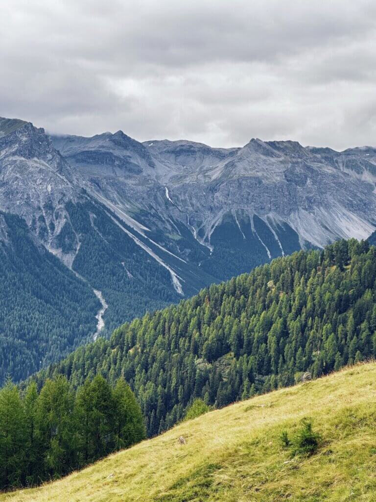 Matthias Maier | Rocks, forest, meadows