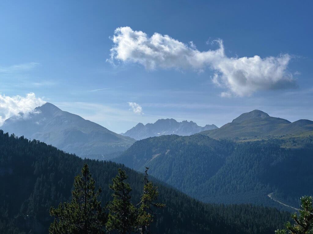 Matthias Maier | Swiss National Park