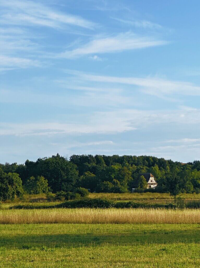 Matthias Maier | Lonely house