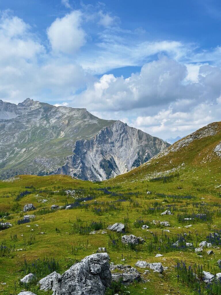 Matthias Maier | Alpine pasture