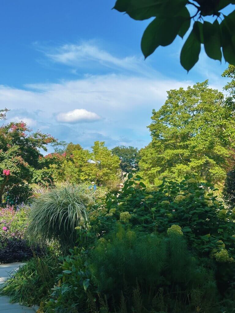 Matthias Maier | Conservatory Garden