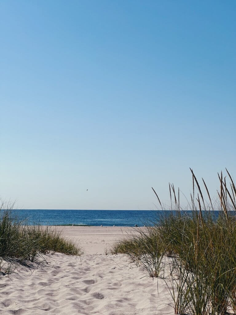 Matthias Maier | Path to the beach