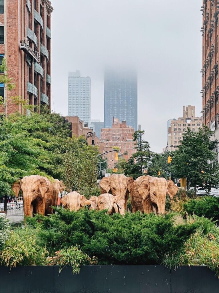 Matthias Maier | The great elephant migration in NYC