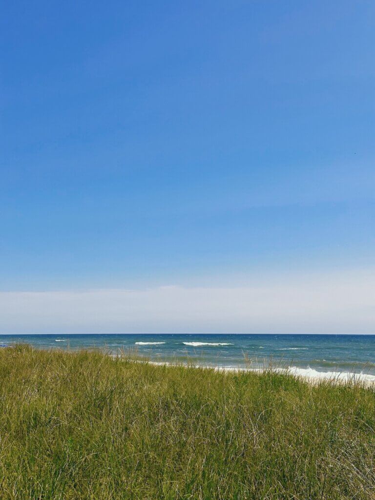 Matthias Maier | Dunes