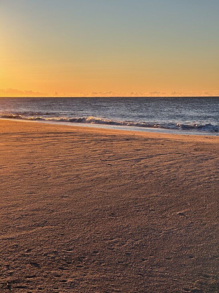 Matthias Maier | Golden morning light