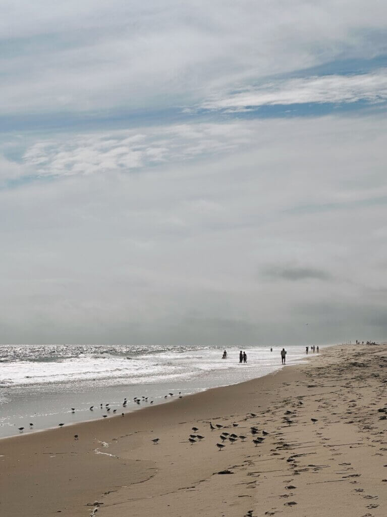 Matthias Maier | People and birds