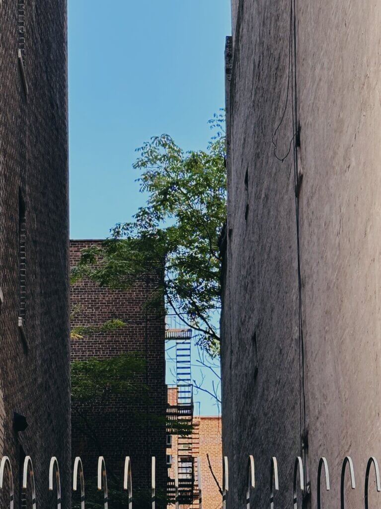 Matthias Maier | Between the houses