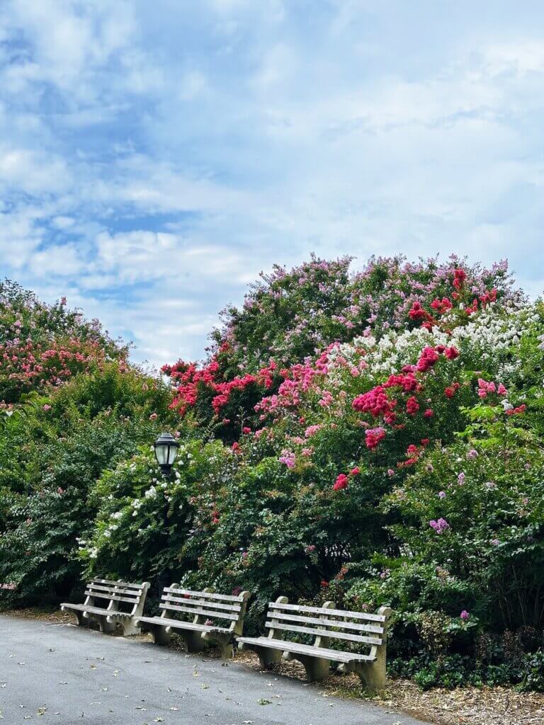 Matthias Maier | Colorful Riverside Park