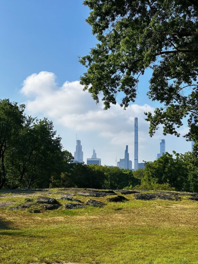 Matthias Maier | Central Park impression