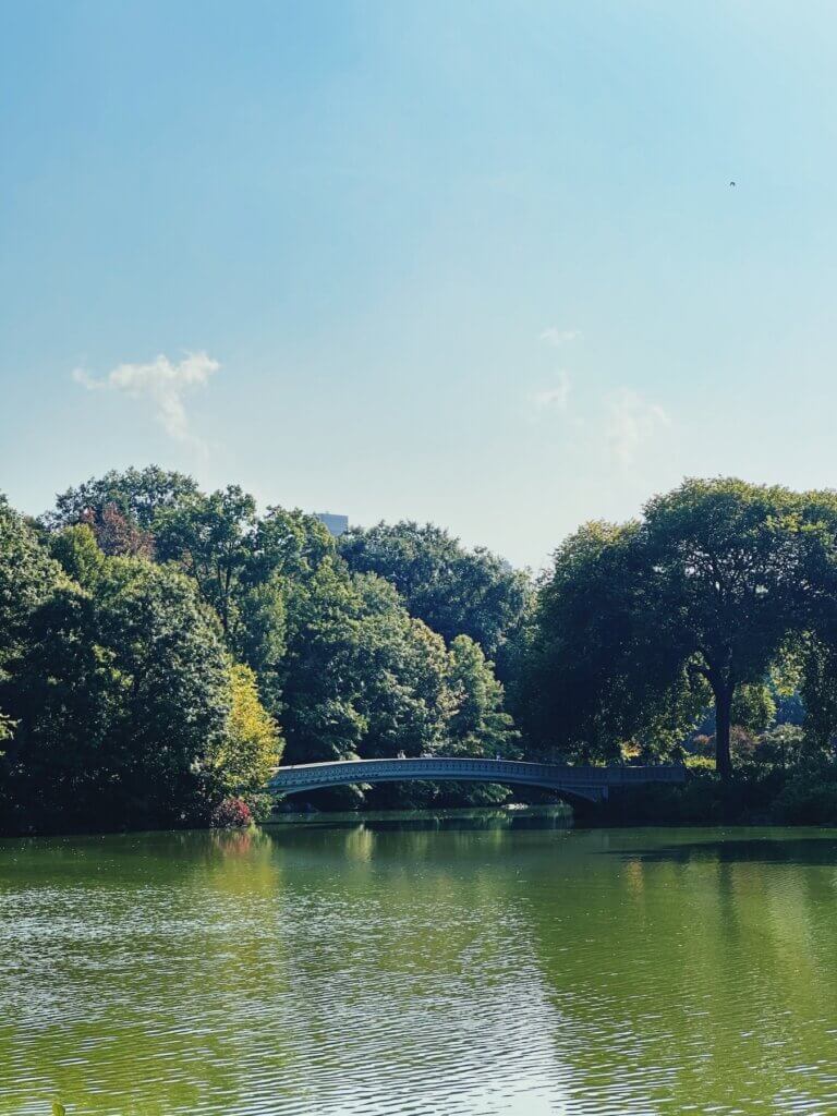 Matthias Maier | Central Park Bridge