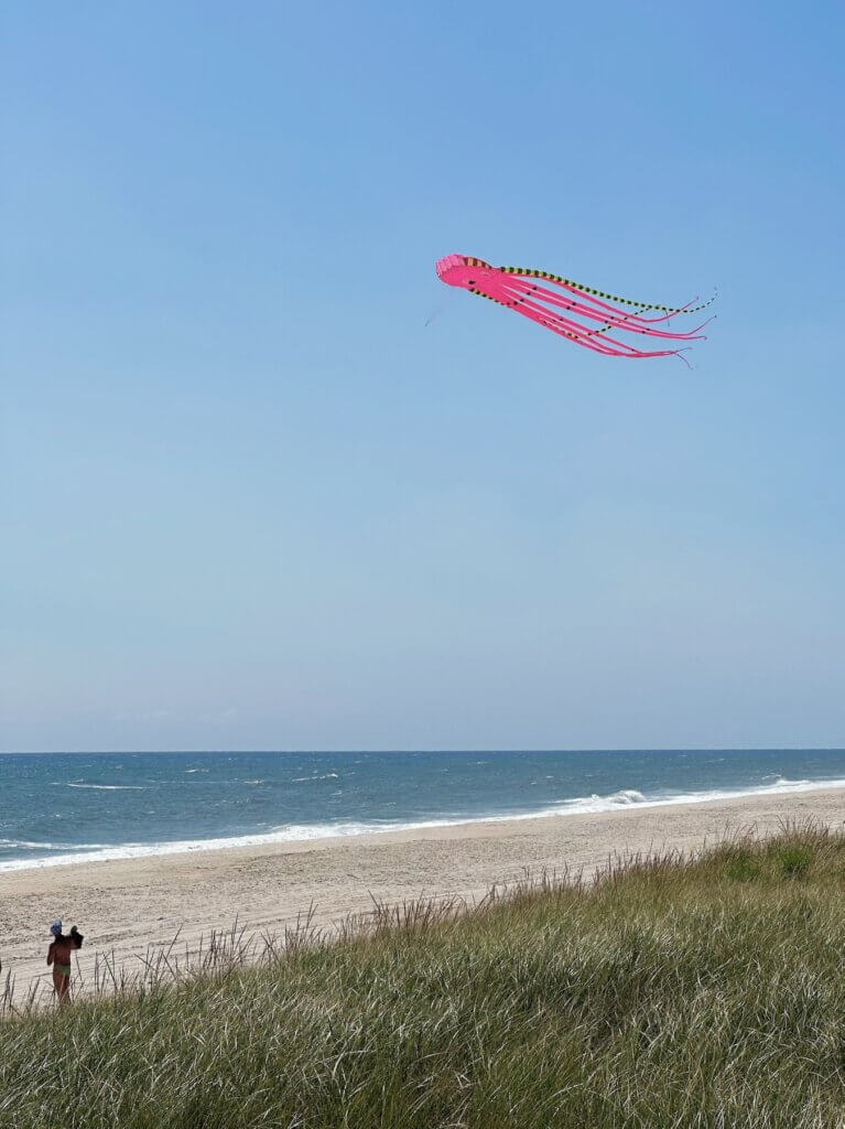 Matthias Maier | Cuttlefish in the air