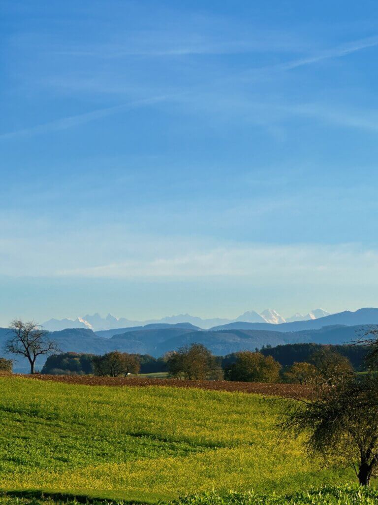 Matthias Maier | Alpine view