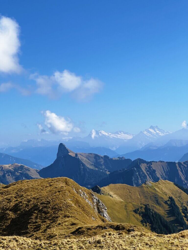 Matthias Maier | Stockhorn