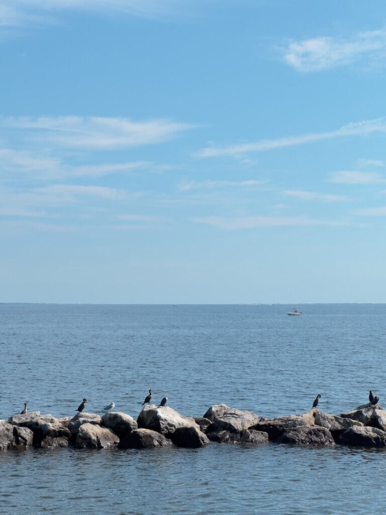 Matthias Maier | Great South Bay