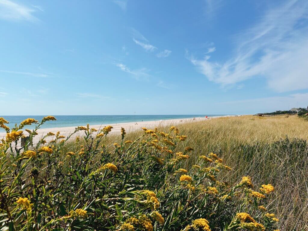 Matthias Maier | Fall at the beach