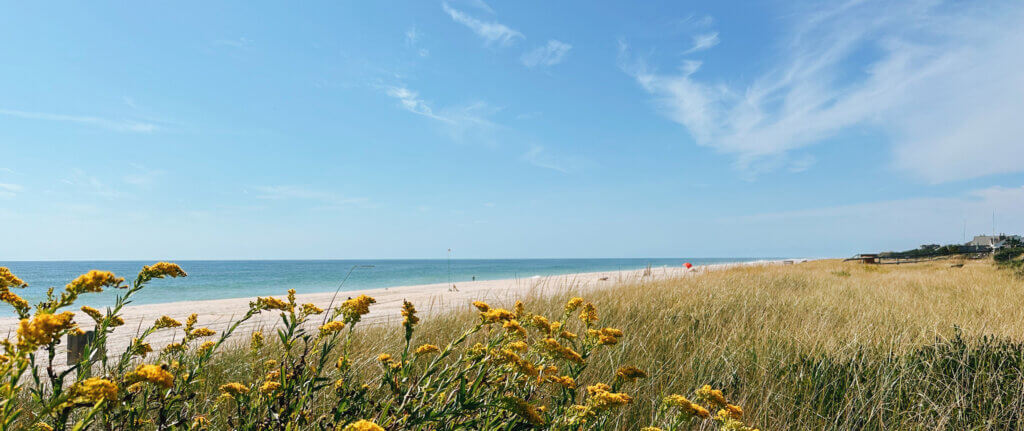 Matthias Maier | Stories | Week 40 2024 | Fall at the beach