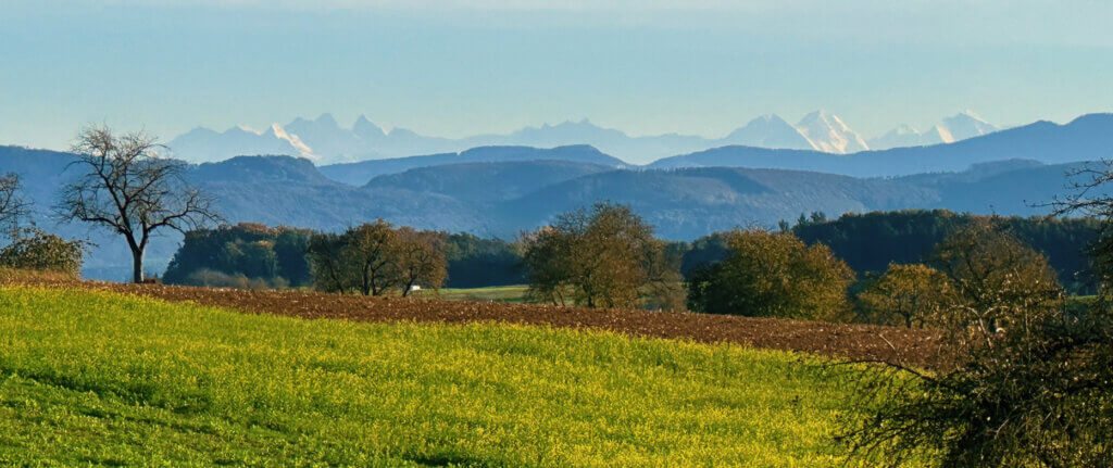 Matthias Maier | Stories | Week 43 2024 | View on the Swiss Alps from Germany