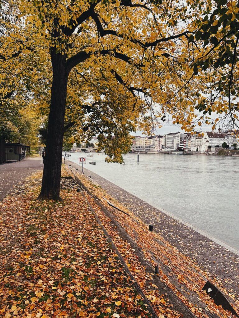 Matthias Maier | Fall mood by the river